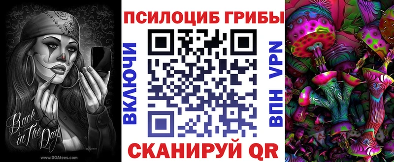 Купить где Яровое Галлюциногенные грибы мухоморы